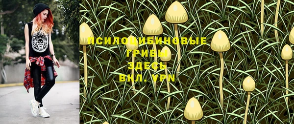экстази Алексеевка