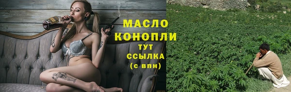 дмт Елабуга